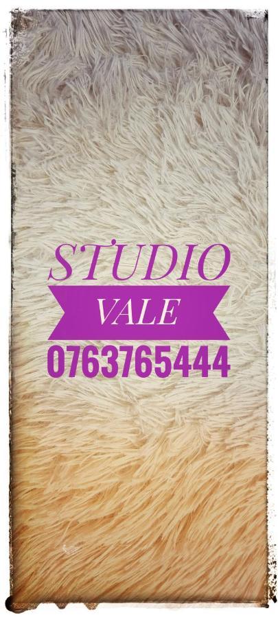 Studio vale Appartamento Hunedoara Esterno foto